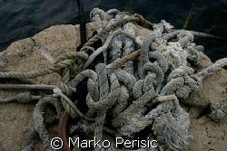 Knots. Hvar Harbour. by Marko Perisic 